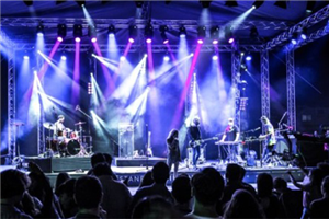 KONSER GÜVENLİĞİ